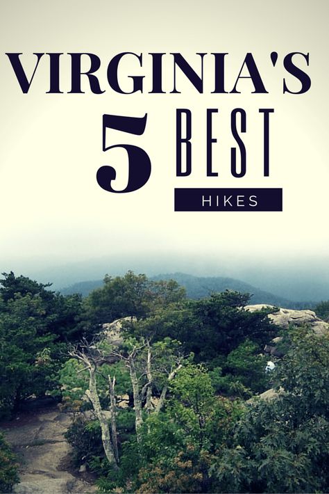 Check out the best hikes in Virginia and plan a great trip to the Blue Ridge Mountains and beyond. There are some great options including near Roanoke, Abingdon, and Shenandoah National Park. Find out where to hit the trail! #hiking #outdoortravel #outdoorliving #Virginia #BlueRidgeMountains #hike #trail via @sightdoing Nature, Virginia Hikes, Hikes In Virginia, Virginia Hiking, Hiking 101, Wild Ponies, Hiking Usa, Southwest Virginia, Hiking In Virginia