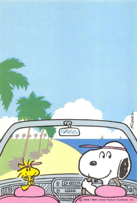 Snoopy Background Laptop, Matching Snoopy Wallpaper, Cartoon Summer Wallpaper, Snoopy Wallpaper Summer, Summer Disney Wallpaper, Summer Snoopy Wallpaper, Snoopy Summer Wallpaper, Summer Cartoon Wallpaper, Snoopy Quotes Funny