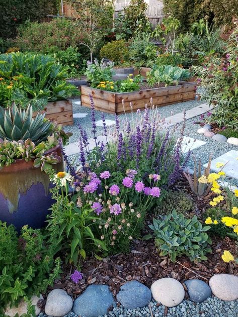 Pollinator Garden Design, Butterfly Garden Plants, Backyard Garden Layout, Garden Wallpaper, Magic Garden, Bee Garden, Pollinator Garden, Front Lawn, Front Yard Garden