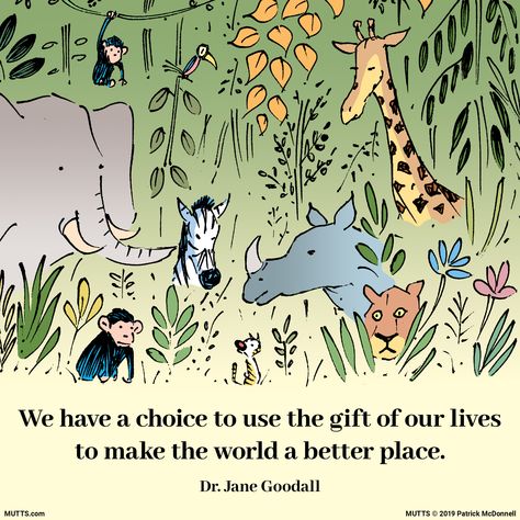 Humane Society, Jane Goodall Quote, Jane Goodall Quotes, Mutts Comics, International Day Of Peace, Jane Goodall, Very Happy Birthday, International Womens Day, Quote Prints