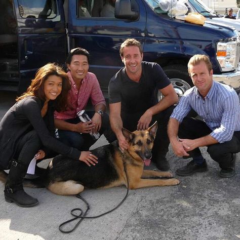 Kono, Chin Ho, Steve & Danny | Hawaii Five-0 Vin Diesel, Steve And Danny, Hawaii 5 0 Cast, Hawaii 5 0, Alex Scott, Grace Park, Steve Mcgarrett, Steve Mc, Scott Caan