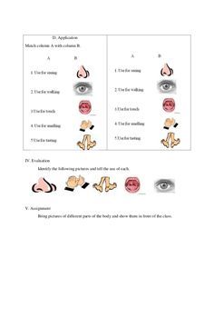 Detailed Lesson Plan in Science and Health grade 3 Science Lesson Plans Elementary, Chemistry Lab Equipment, Grade 3 Science, Lesson Plan Examples, Chemistry Lab, Science Lesson, Science Lesson Plans, Chemistry Labs, University Of Houston