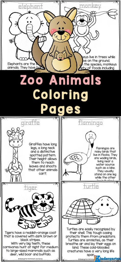 Grab these super cute, free printable zoo coloring pages for kids of all ages! These coloring pictures of zoo animals include clipart of an elephant, brown bear, panther, giraffe, flamingo, hippopotamus, monkey, kangaroo, leopard, polar bear, penguin, lion, snake, tiger, turtle, and a zebra. These simple animal zoo coloring pages are perfect for toddler,  preschool, pre-k, kindergarten, and first grade students. These coloring sheets zoo animals are such a fun and engaging activity for children Build A Zebra Printable, Safari Activities For Preschool Free Printable, Zebra Preschool Activities, Zoo Animal Coloring Pages Free Printable, Zoo Animal Activities For Toddlers, Monkey Worksheet, Zoo Theme Preschool, Zoo Activities Preschool, Zoo Animal Activities