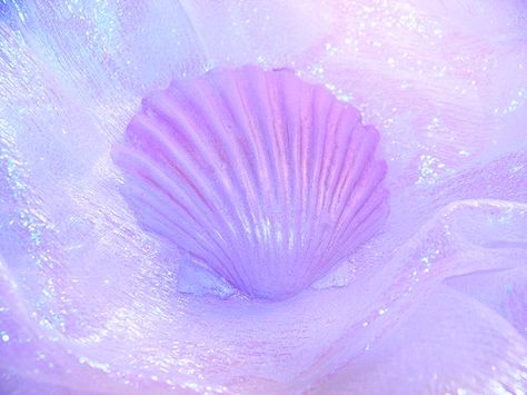 ☾@ѕнawnмarryмe☽ Purple Mermaid Aesthetic, Purple Seashell, Purple Mermaid Tail, Mermaid Room, Purple Vibe, Mermaid Shell, Unicorns And Mermaids, Purple Mermaid, Mermaid Melody