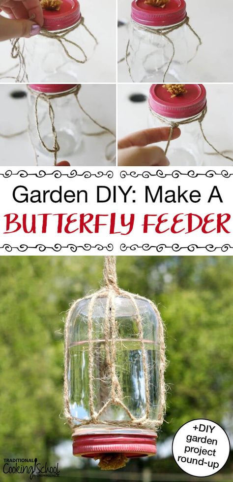 Diy Butterfly Feeder, Zuppa Toscana Soup Olive Garden, Butterfly Food, Butterfly Feeders, Butterfly Feeder, Diy Butterfly, Meteor Garden 2018, Butterfly House, Diy Birds