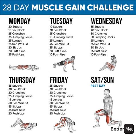 Workout Programs For Men, Calisthenics Workout At Home, Lean Body Workouts, Calisthenics Workout Routine, Lean Workout, Muscle Gain Workout, Calisthenics Workout Plan, Workout Gym Routine, Gym Workout Guide