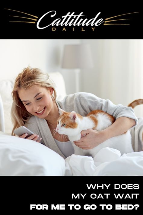 Does your kitty wait for you to go to bed at night? Find out the reason for this interesting and thoughtful behavior here. #catbehavior Cat Life Hacks, Cat Behavior Facts, Cat Behavior Problems, Best Cat Breeds, Cat Ownership, Getting A Kitten, Cat Tips, Bed At Night, Cat Info