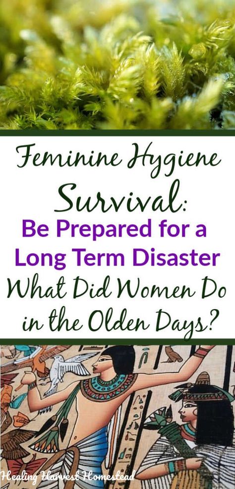 Doomsday Prepping, Survival Crafts, Long Term Survival, Feminine Odor, Female Hygiene, Primitive Living, Emergency Prepardness, Survival Skills Life Hacks, Emergency Preparedness Kit