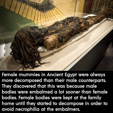 Weird History Facts, Creepy History, Dark History, Ancient History Facts, History Facts Interesting, History Nerd, Unbelievable Facts, Mystery Of History, History Memes