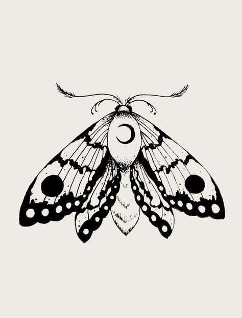 Tattoo Papillon, Moth Drawing, Pola Tato, Kunst Tattoos, Moth Tattoo, White Drawing, Black And White Drawing, Tattoo Design Drawings, Future Tattoos