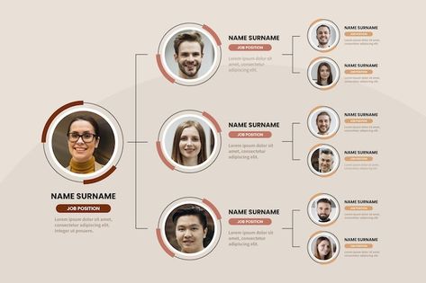 Team Structure Infographic, Structure Organization Design, Organizational Chart Design Templates, Organisation Chart Design, Organization Chart Design Company, Organization Structure Design, Organizational Chart Design Ideas, Org Chart Design, Organization Chart Design