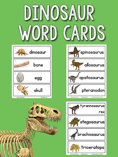 Dinosaur Picture Word Cards Printable Dinosaur Identification Chart, Dinosaur Stem Activities, Dinosaurs Kindergarten, Dinosaur Unit Study, Dinosaur Week, Dinosaur Crafts Preschool, Dinosaur Classroom, Dinosaur Lesson, Dinosaur Theme Preschool