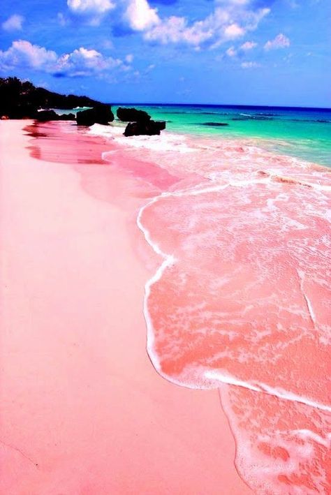 Pink Sands Beach, Harbour Island, Bahamas. “Harbour Island is just 3.5 miles long and 1.5 miles wide, but this tiny slice of the Bahamas has one of the Caribbean’s prettiest beaches: three miles of pink sand that stretches along the island’s east coast. The red shells of foraminifera—single-celled marine animals—mix with the island’s white sand, thus creating the soft rosy hue.” Bora Bora, Holiday Places, Nassau, Lombok, Pink Sand Beach, Pink Sand, Sand Beach, Bhutan, Alam Yang Indah