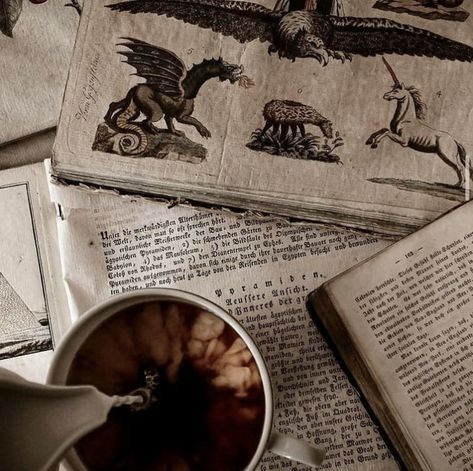 Tumblr, Dark Academia Study, Spotify Playlist Covers, Ancient Library, Books And Tea, The Brothers Karamazov, Dark Acadamia, Lily Potter, Playlist Cover