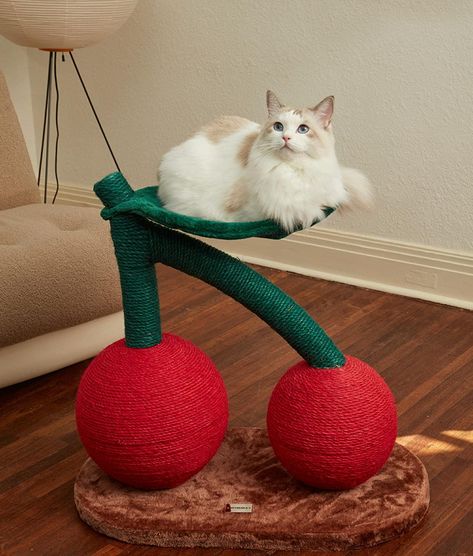 Fruit Cat Tree, Cool Cat Accessories, Cat Scratching Post Aesthetic, Cute Cat Scratcher, Cute Cat Scratching Post, Cute Cat Products, Aesthetic Cat Supplies, Aesthetic Cat Toys, Kitten Items