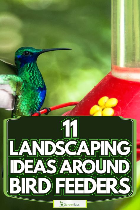 11 Landscaping Ideas Around Bird Feeders Bird Garden Ideas Landscapes, Bird Feeding Table, Rustic Bird Feeders, Too Many Plants, Bird Feeder Station, Bird Feeder Stands, Large Bird Feeders, Backyard Birds Feeders, Backyard Birds Sanctuary