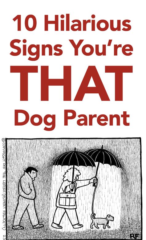 Love these! Humour, Dog Quotes, Hilarious Signs, Dog Information, Dog Parents, Dog Obedience, Pet Parent, Goldendoodle, Dog Care