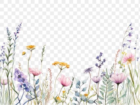 Pastel Flowers Illustration, Flowers Borders And Frames, Png Flowers Aesthetic, Graphic Flower Illustration, Watercolor Flower Border, Wildflower Border, Wild Flowers Watercolor, Watercolor Flowers Png, Flower Boarders