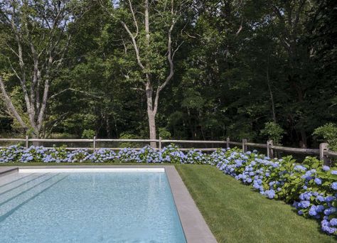 Dreaming in Blue at a Stylist’s Hamptons Compound Pool With Hedge Fence, Split Rail Fence Hydrangeas, Country Pool Fence, Split Rail Fence Around Pool, Hydrangeas By Pool, Hydrangeas Around Pool, Fence Around Pool Ideas, Backyard Pool Fence Ideas, Hydrangea Pool Landscaping