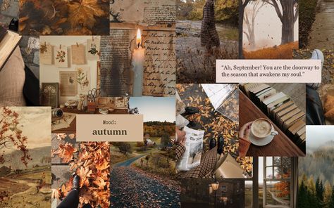 Fall Study Wallpaper Laptop, Aesthetic Fall Ipad Wallpaper, Macbook Wallpaper Academia, Aesthetic Chromebook Wallpapers Collage, Macbook Book Wallpaper, Fall Wallpapers For Macbook, Wallpaper For Chromebook Aesthetic, Fall Mood Board Wallpaper Laptop, Fall Mac Background