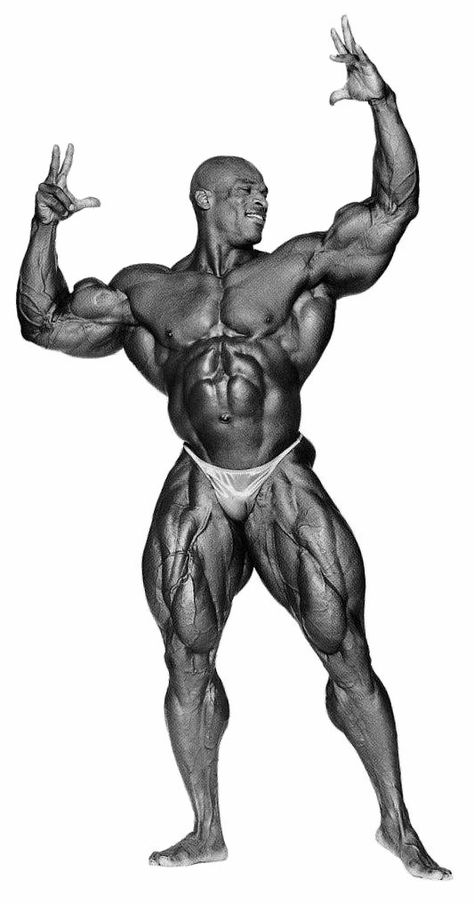 1999 - Ronnie Coleman, USA (13 May 1964), height 5-foot-11 (180 cm) - Winner of the Mr Olympia Ronnie Coleman, Man Projects, Ripped Body, Natural Man, Mr Olympia, Cool Anime Wallpapers, Portrait Images, Lauren Jauregui, King Of Kings