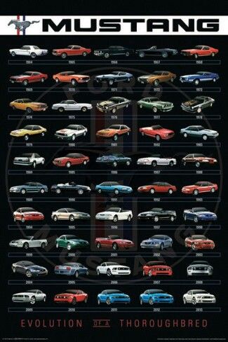 Mustang through the years Pony Car, Kereta Sport, Auto Poster, Bmw Autos, Mustang Cars, Sweet Cars, Car Posters, Ford Mustang Gt, Car Ford