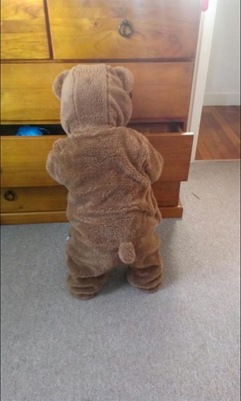 Too cute - the OP writes "Put my son to sleep in his new onesie, woke up to a bear raiding my drawers." - Imgur Foto Kids, New Baby Names, Bumbo, Foto Baby, E Card, Baby Outfits, Cute Bears, 귀여운 동물, Future Kids