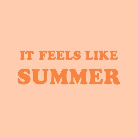 Summer Peach Aesthetic, Coral Orange Aesthetic, Peach Summer Aesthetic, Pastel Pink And Orange Aesthetic, Peach Picking Aesthetic, Pink And Orange Summer Aesthetic, Summer Orange Aesthetic, Coral Color Aesthetic, Peach Orange Aesthetic