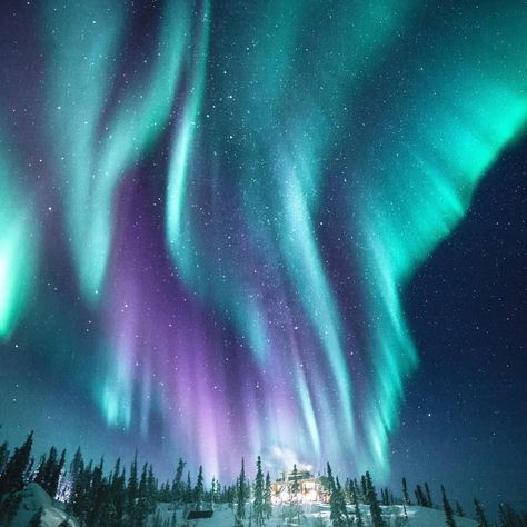 Northern Lights seen from Yellowknife, Northwest Territories, Canada Northern Lights Photography, Northen Lights, Northern Lights (aurora Borealis), Aurora Borealis Northern Lights, Northwest Territories, See The Northern Lights, Alam Semula Jadi, Beautiful Sky, Light Painting