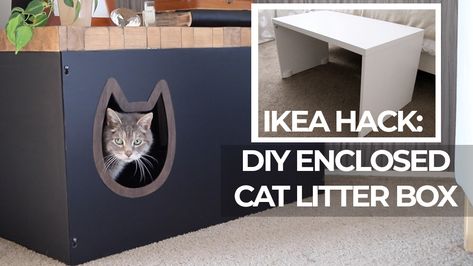 Enclosed Litter Box Ideas Diy, Diy Litter Box Cover, Pine Cat Litter, Cat Litter Box Ideas Hidden, Cat Litter Box Diy, Bunny Litter Box, Box Covers Diy, Hidden Cat Litter, Diy Cat Litter Box Furniture