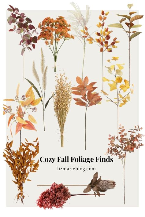 Fall Foliage Wedding, Natural Fall Decor, Watercolor Flower Illustration, Liz Marie, Liz Marie Blog, Chalkboard Designs, Autumn Illustration, Winter Wedding Inspiration, Autumn Nature