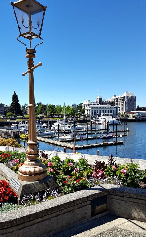 Downtown marina in Victoria, BC Downtown Victoria Bc, Victoria Bc Canada Aesthetic, Victoria British Columbia Aesthetic, Victoria Canada Aesthetic, Victoria Bc Aesthetic, Victoria Island Canada, Victoria Canada British Columbia, Vacay Spots, West Coast Canada