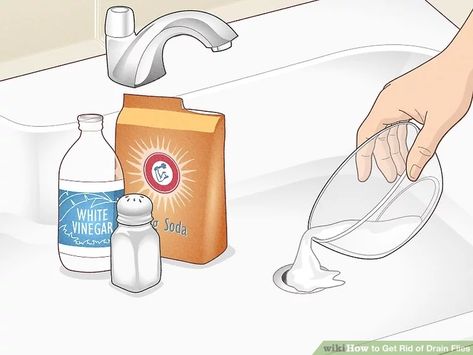 4 Ways to Get Rid of Drain Flies - wikiHow Gnats In Kitchen, Killing Fruit Flies, Getting Rid Of Nats, Fly Remedies, Flies Trap Diy, Cleaning Sink Drains, Drain Flies, Fruit Fly Killer, Fruit Flies In House