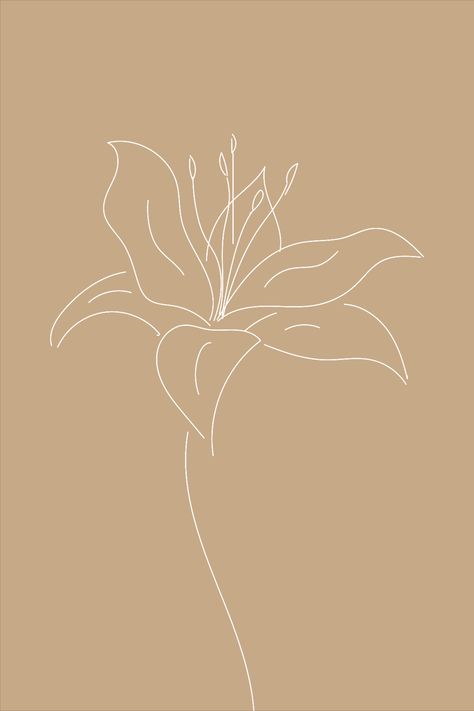 Original line drawing of a lily flower. Lily Flower Sketch Simple, Lily Flower Line Drawing, Lily Simple Drawing, Line Art Floral Tattoo, Lily Flower Outline, Lily Drawing Simple, Lily Tattoo Simple, Lily Decorations, Lily Doodle