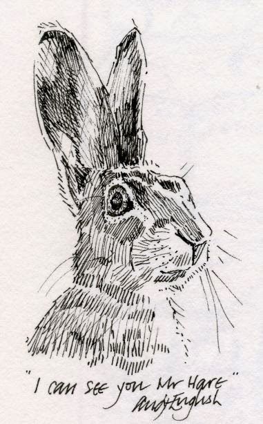 Croquis, Rabbit Engraving, Drawing A Head, Hare Sketch, Rabbit Drawings, Hare Drawing, Hare Illustration, Ely Cathedral, Hare Painting