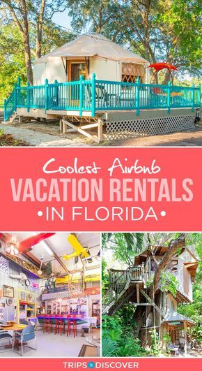 Florida Summer Bucket List, Florida Staycation Ideas, Florida Airbnb, Florida Bucket List, Coolest Airbnb, Florida Trips, Florida Travel Destinations, Florida Getaway, Florida Adventures