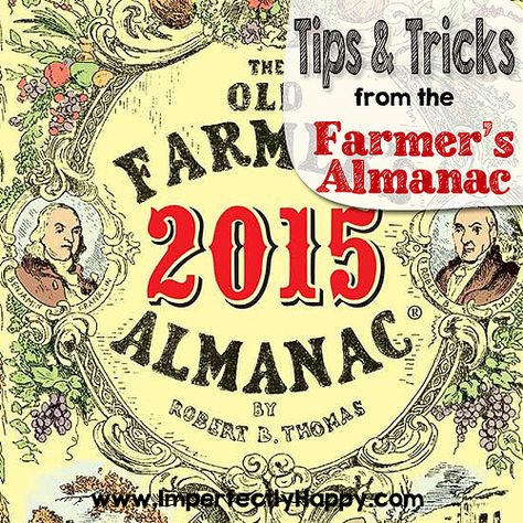 10 Tips & Tricks from the Farmer's Almanac | by ImperfectlyHappy.com Modern Homesteading, Farmers Almanac, Homesteading Skills, Coloring Tips, Plant Guide, The Farmer, Backyard Farming, Self Reliance, O Reilly