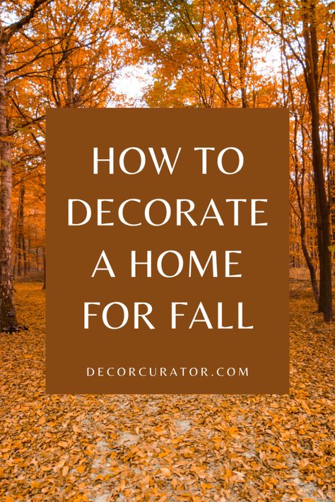 Find easy and budget friendly ways to add fall style to your home decor. Decor Curator is the place to discover the best in home decor. #simple #fall #homedecor #interiordesign #seasonal #autumn Simple Autumn Home Decor, How To Decorate For Autumn, Home Decor Thanksgiving, Fall Decor With Old Windows, Cheap Outside Fall Decor, Autumn Inspired Home Decor, Thanksgiving Decor Minimalist, Low Budget Fall Decor, Green Fall Decor Living Room