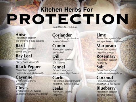 Kitchen Herbs for Protection - Witch Ot Good Herbs For Protection, Magickal Herbs, Witch Herbs, Magic Herbs, Kitchen Witchery, Kitchen Herbs, Magical Herbs, Wiccan Spell Book, Witchcraft Spell Books