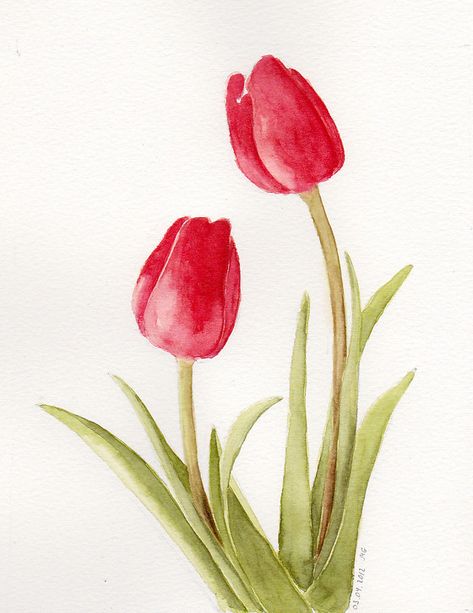 Tulips | Watercolor 03/04/2012 | Marina | Flickr Draw A Tulip, Tulips Watercolor, Flower Drawing Images, Tulip Drawing, Easy Flower Drawings, Ipad Drawing, Valentines Watercolor, Tulip Painting, Watercolor Tulips