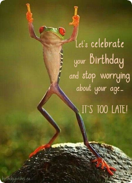 humorous birthday image Happy Birthday Funny Humorous, Funny Happy Birthday Images, Happy Birthday Man, Funny Happy Birthday Wishes, Best Birthday Quotes, Birthday Quotes For Him, Birthday Wishes For Friend, Happy Birthday Quotes Funny, Happy Birthday Wishes Cards