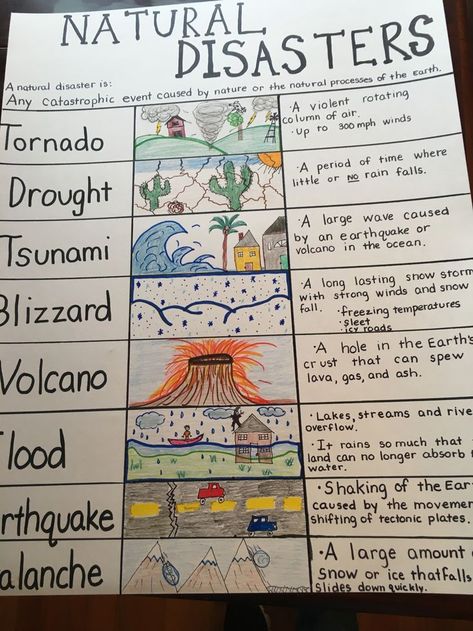 Sideways Stories From Wayside School Projects, Natural Disasters Anchor Chart, Science For 3rd Grade Lesson Plans, Earth Science Kindergarten, Changes In Ecosystems Activities, 3rd Grade Homeschool Activities, Weather Crafts For Elementary Students, Earth Science Activities Elementary, Social Science Chart Ideas