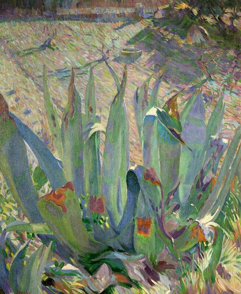 William John Leech (Irish, 1881-1968), Aloes, 1920s Patchwork, Irish Artists, Irish Painters, Year 11, Irish Art, Flower Paintings, Art Story, Original Abstract Art, Post Impressionists