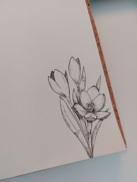 Flower Sketches Tutorial, Floral Pen Art, Micron Pen Art Simple, Micron Pen Art Flowers, Small Pen Drawings, Micropen Drawing, Micron Pen Art Doodles, Micron Sketches, Crocus Drawing