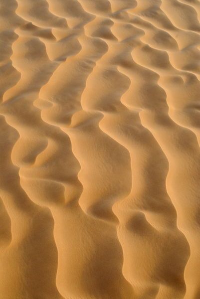 'Close-up of sand dune pattern' by Sami Sarkis Photography Sand Pattern, Photography Posters, Pattern Photography, Gallery Prints, Sand Textures, Visual Texture, Yacht Design, Photography Prints Art, Sand Dunes