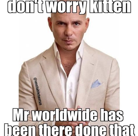 Pitbull, Humour, Funny Photos, Mr Worldwide, Response Memes, Funny Reaction Pictures, What’s Going On, Images Gif, Funny Laugh