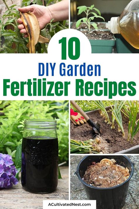 10 Best Homemade Plant Fertilizers- If you want your garden's plants to grow faster and bigger, then you need to try some of these 10 homemade plant fertilizers! These are great for both vegetable and… Garden Fertilizer Diy, Plant Fertilizer Diy, Organic Fertilizer For Vegetables, Vegetable Garden Fertilizer, Home Made Fertilizer, Homemade Plant Fertilizer, Quotes Gardening, Houseplant Fertilizer, Homemade Plant Food