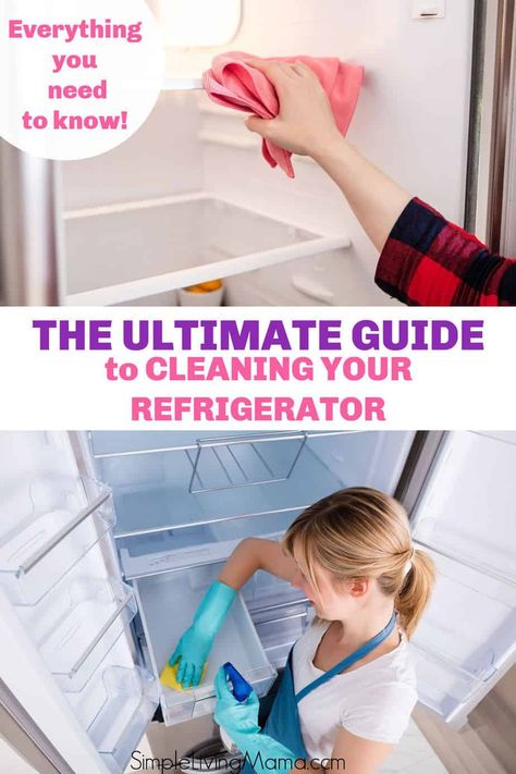 How To Clean Refrigerator, Fridge Cleaning Hacks, Remove Mold, Clean Refrigerator, Fridge Shelves, Best Cleaner, Clean Fridge, Easy Cleaning Hacks, Diy Cleaning Solution