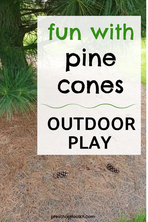 Pine cone trail outdoor preschool activity. Nature, Pine Cone Activities, Outdoor Games For Toddlers, Outdoor Nature Activities, Preschool Outdoor Activities, Fine Motor Play, Nature Activity, Fill Your Bucket, Large Pine Cones