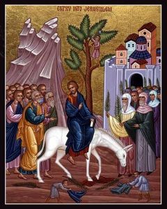 Icon of Jesus' entry into Jerusalem; Palm Sunday Pentecost, Sunday School Palm Sunday, Hosanna In The Highest, Bible Reflection, Triumphal Entry, Sunday Prayer, Son Of David, Palm Sunday, Jesus Is Coming